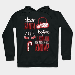 Dear Santa before I explain how much do you know Hoodie